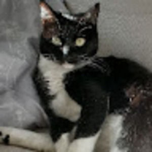 Meet your Posher, Melissa